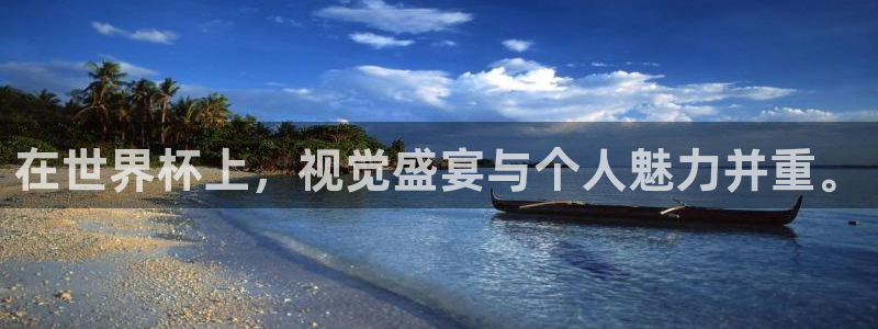 2026世界杯官网：在世界杯上，视觉盛宴与个人魅力并重。