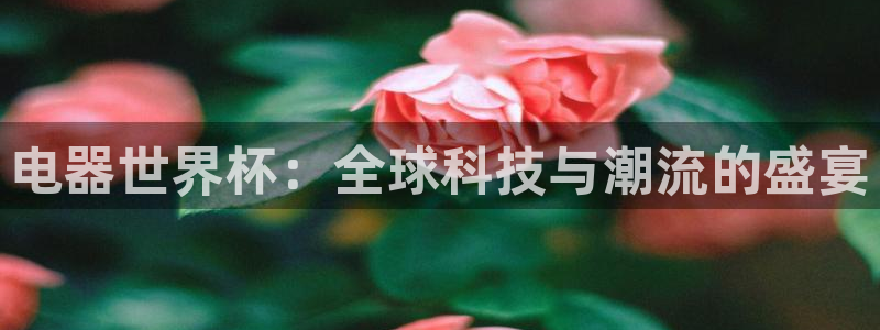 世界杯直播观看：电器世界杯：全球科技与潮流的盛宴