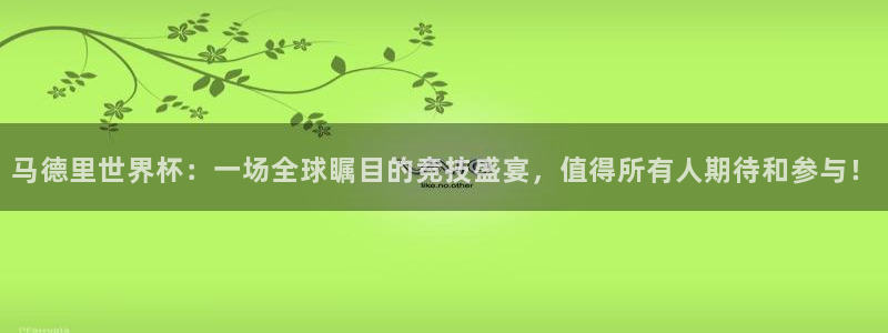 2026年世界杯：马德里世界杯：一场全球瞩目的竞技盛宴，值得所有人期待和参与！