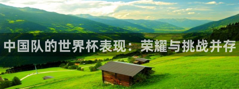 世界杯欧洲区预选赛赛程：中国队的世界杯表现：荣耀与挑战并存