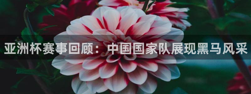 2026世界杯亚洲预选赛赛程：亚洲杯赛事回顾：中国国家队展现黑马风采