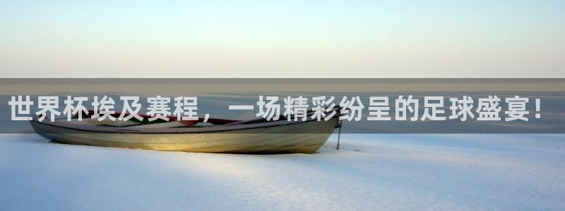 2026世界杯亚洲区预选赛赛程：世界杯埃及赛程，一场精彩纷呈的足球盛宴！