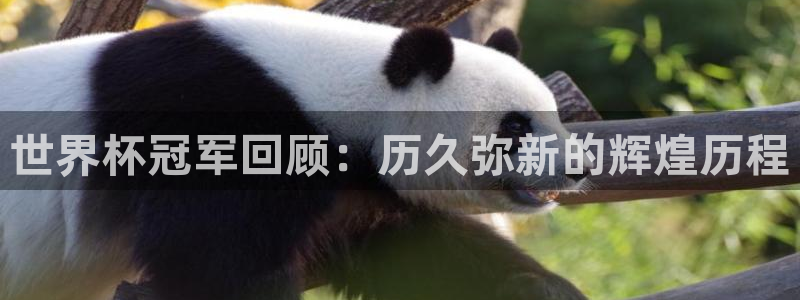 2026世界杯赛程表完整版：世界杯冠军回顾：历久弥新的辉煌历程