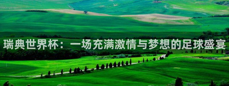 世界杯预选赛排名：瑞典世界杯：一场充满激情与梦想的足球盛宴
