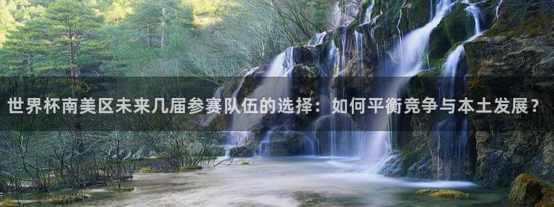 中国 世界杯：世界杯南美区未来几届参赛队伍的选择：如何平衡竞争与本土发展？