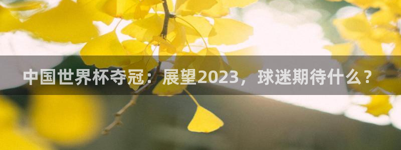 世界杯直播观看：中国世界杯夺冠：展望2023，球迷期待什么？