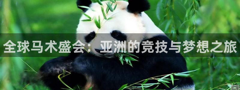 2026世界杯赛程表完整版：全球马术盛会：亚洲的竞技与梦想之旅