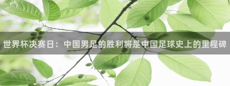 世界杯足球赛2026：世界杯决赛日：中国男足的胜利将是中国足球史上的里程碑