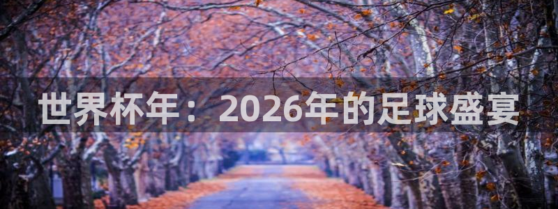 世界杯亚洲区预选赛：世界杯年：2026年的足球盛宴