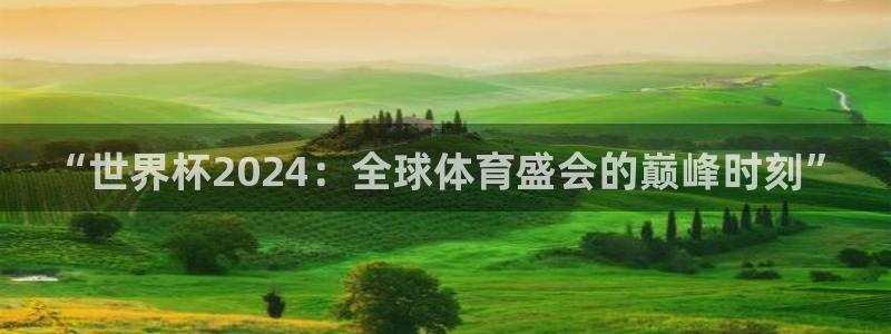 足球比分直播世界杯：“世界杯2024：全球体育盛会的巅峰时刻”
