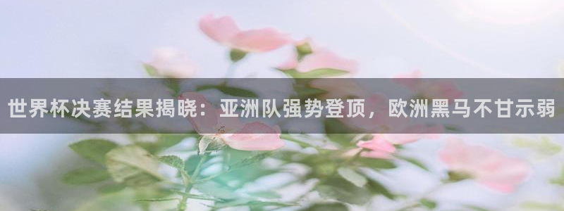 预选赛世界杯：世界杯决赛结果揭晓：亚洲队强势登顶，欧洲黑马不甘示弱